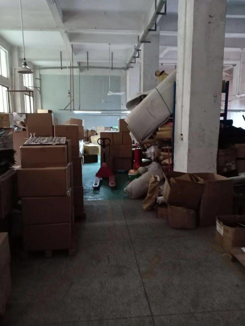 東莞一物業公司因違規被重罰16000元，光學器材亂象引關注